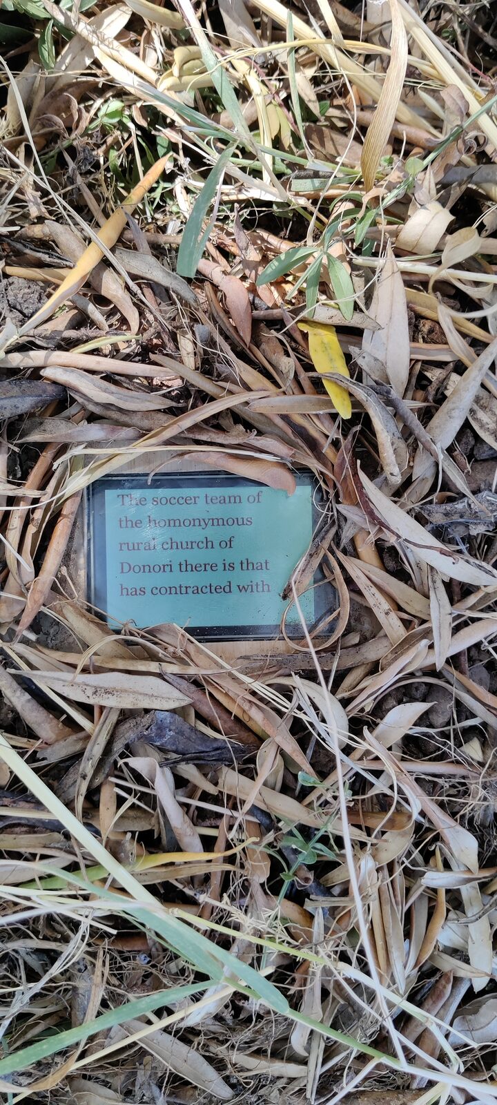 A small green display half-buried in dry leaves and grass, showing: 'The soccer team of the homonymous rural church of Donori there is that has contracted with'.