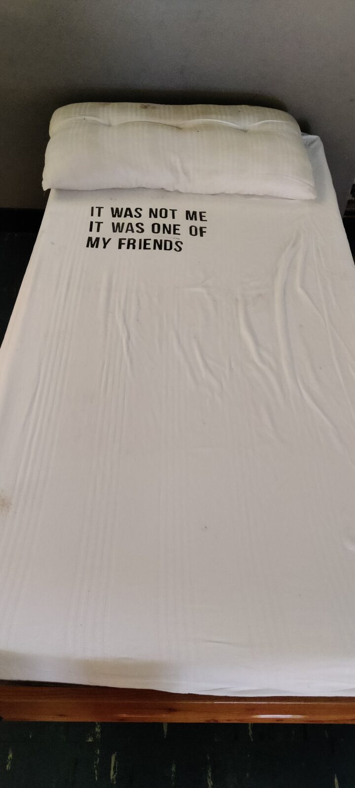Bare mattress in a derelict summer colony, stenciled: 'It was not me, it was one of my friends.'